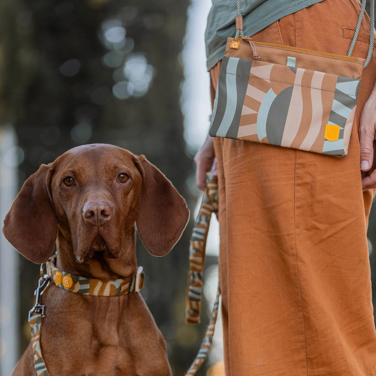 Woolly wolf - Cloudbeam Accessory Bag - Bruin mix - beloningstasje voor honden - Shop with Marley's