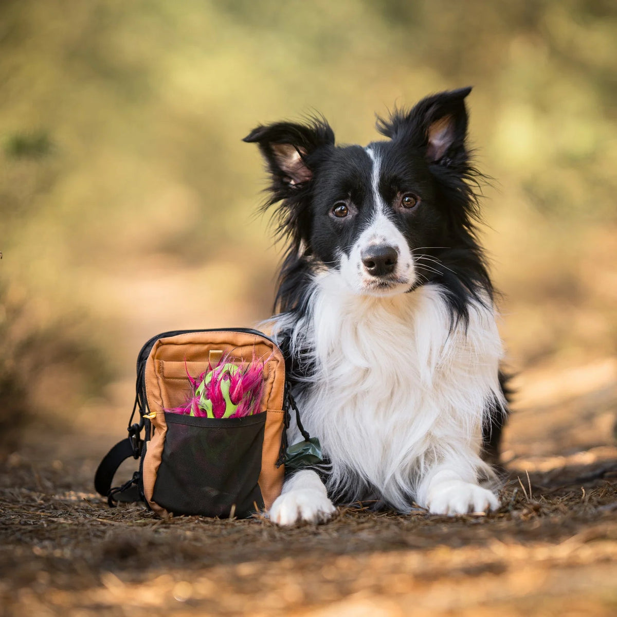 Woolly wolf - Hydration bag - Brown - beloningstasje voor honden met vak voor waterfles & afritsbare waterbak - Shop with Marley's
