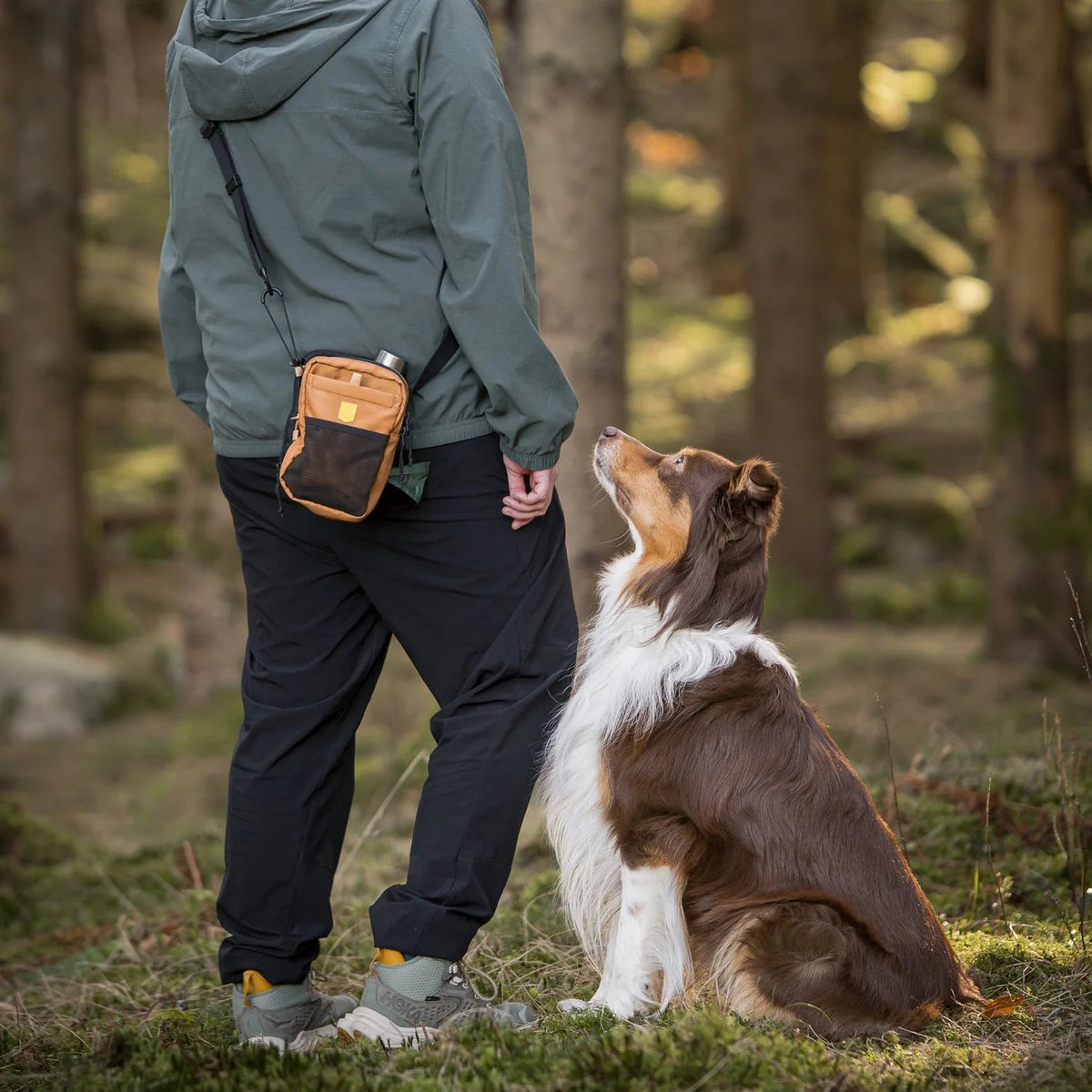 Woolly wolf - Hydration bag - Brown - beloningstasje voor honden met vak voor waterfles & afritsbare waterbak - Shop with Marley's