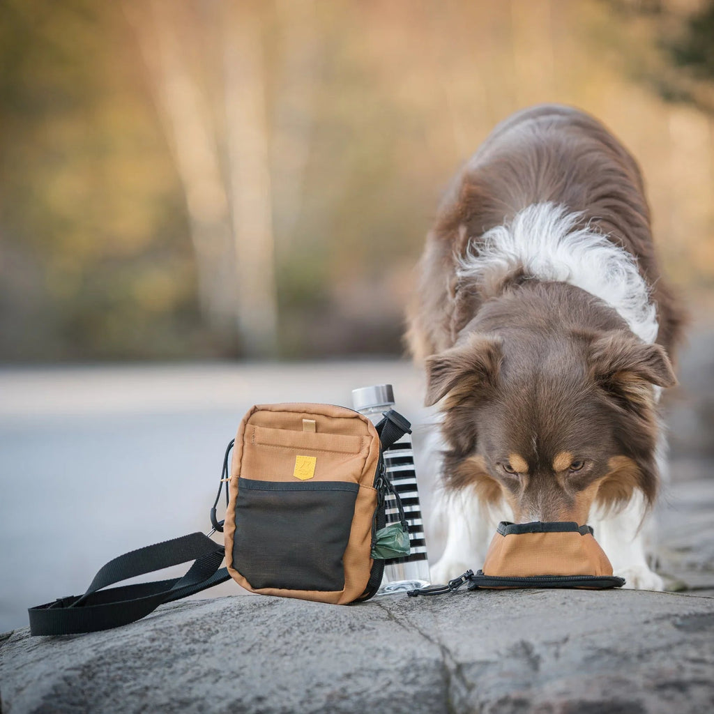 Woolly wolf - Hydration bag - Brown - beloningstasje voor honden met vak voor waterfles & afritsbare waterbak - Shop with Marley's