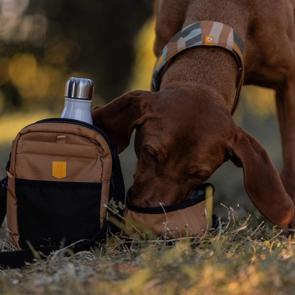 Woolly wolf - Hydration bag - Brown - beloningstasje voor honden met vak voor waterfles & afritsbare waterbak - Shop with Marley's