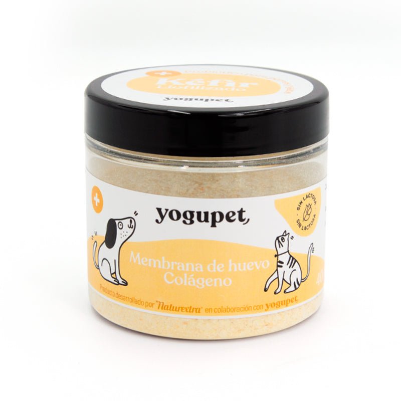 Yogupet Gevriesdroogde kefir met kurkuma, pompoen & collageen (40gr) - Shop with Marley's