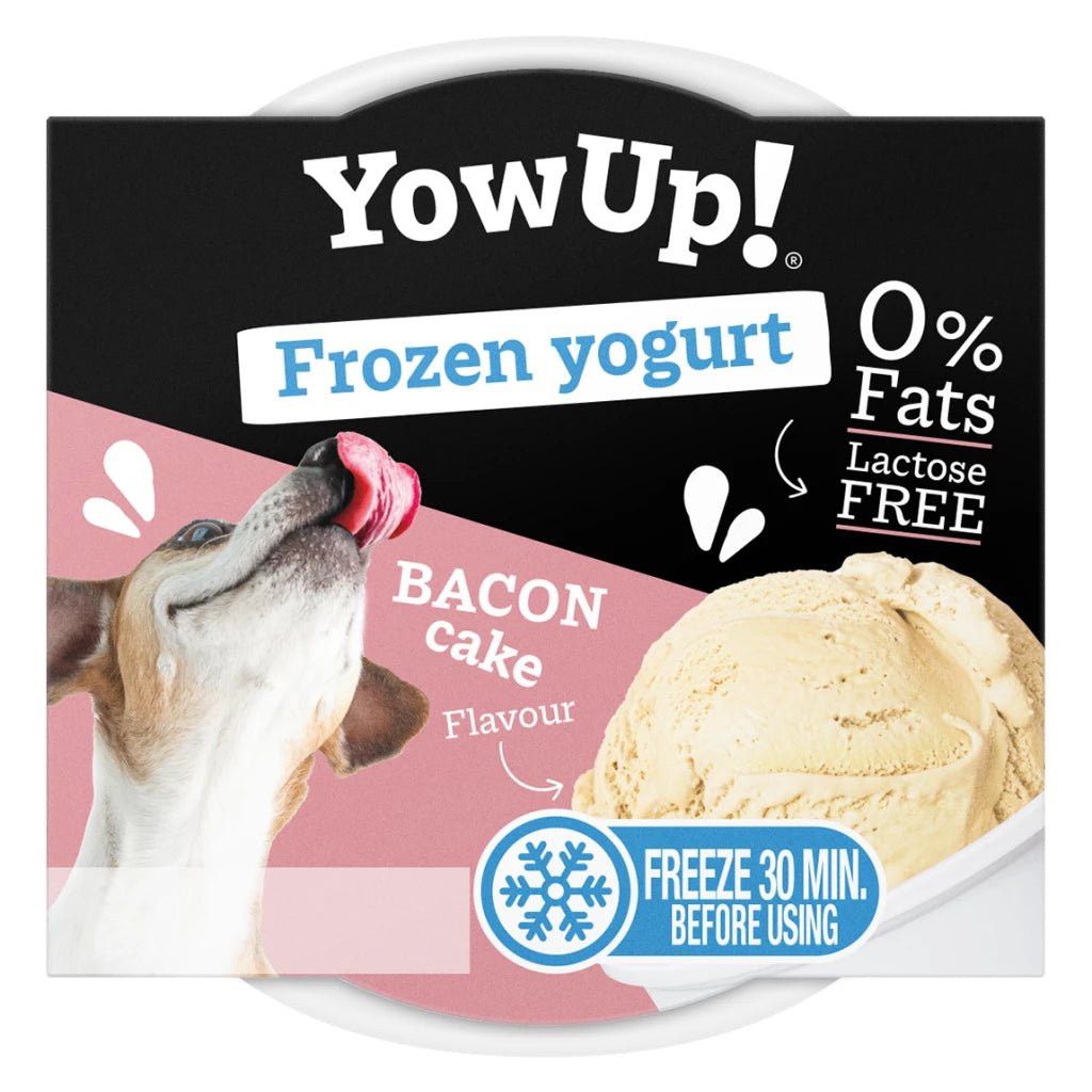 YowUp! Frozen Yoghurt Bacon Cake - Shop with Marley's