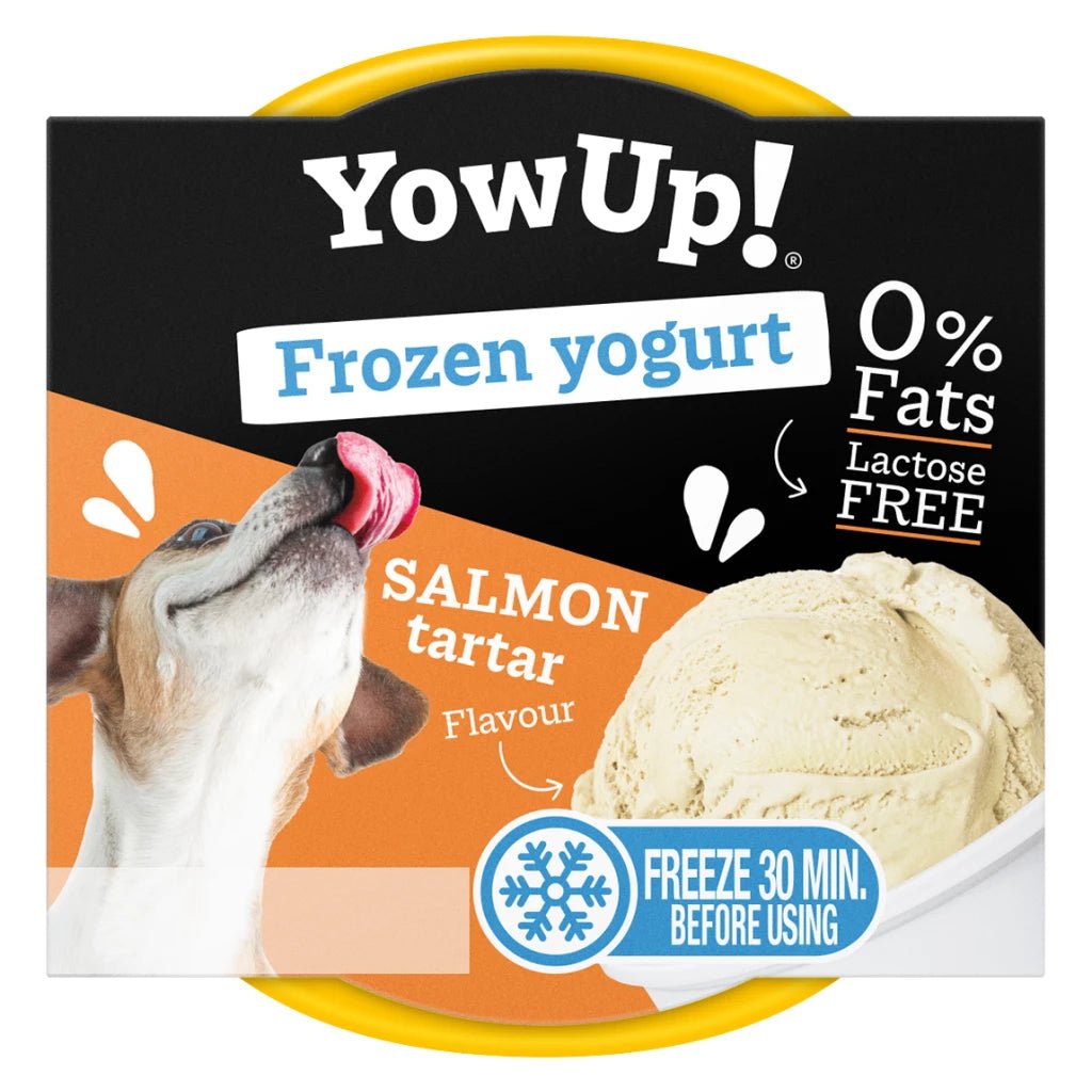YowUp! Frozen Yoghurt Salmon Tartar - Shop with Marley's