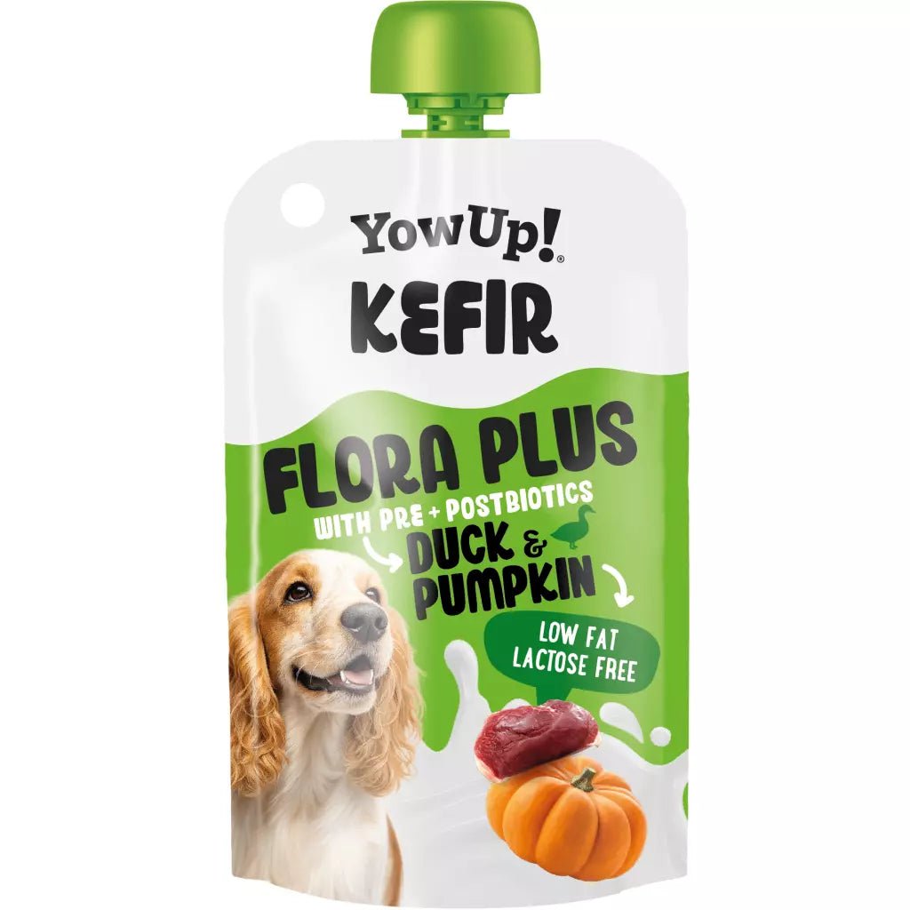 YowUp! Kefir - eend & pompoen - gefermenteerd voor ondersteuning spijsvertering honden - 115 gram - Shop with Marley's
