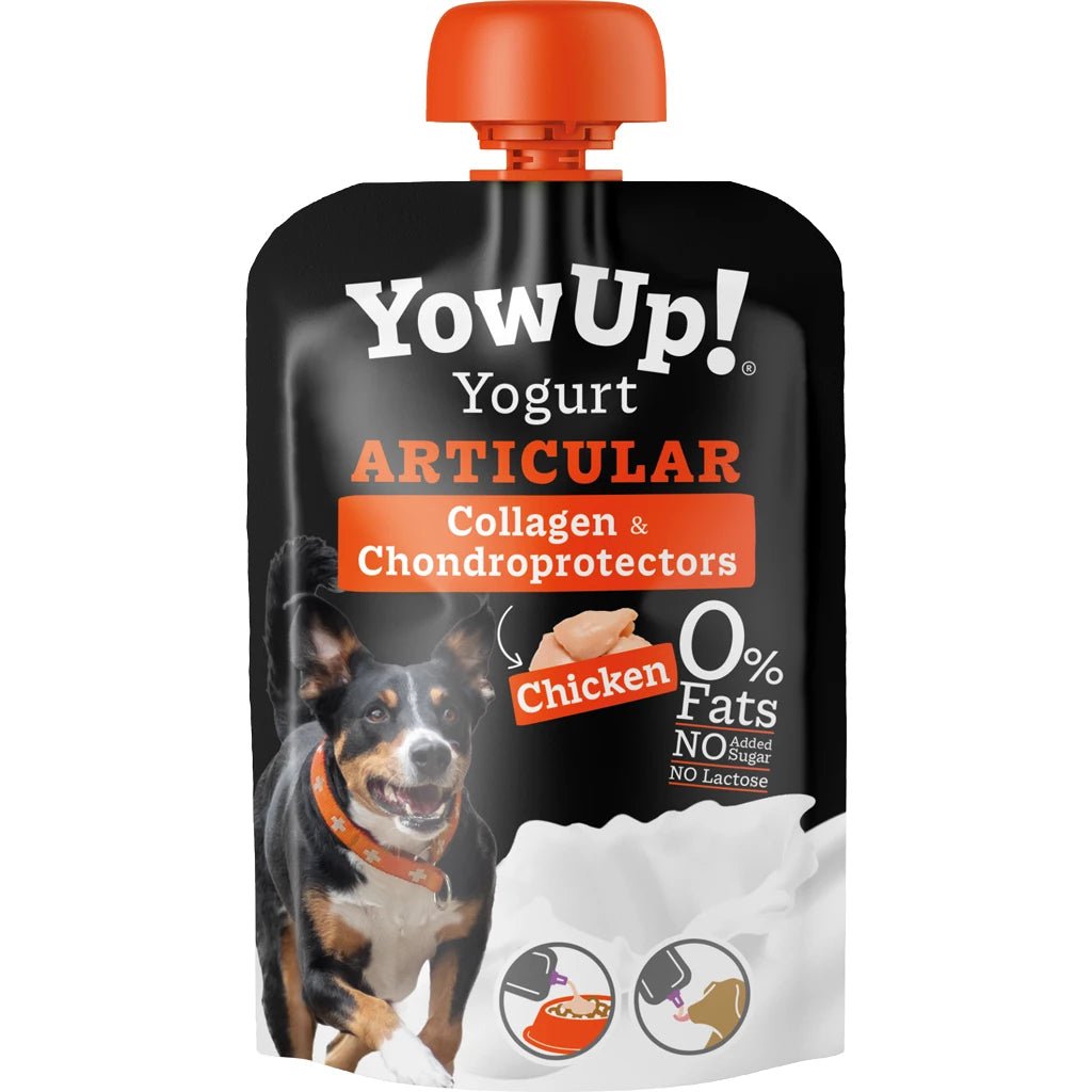 YowUp! Yogurt Dogs Chicken Articular - Shop with Marley's