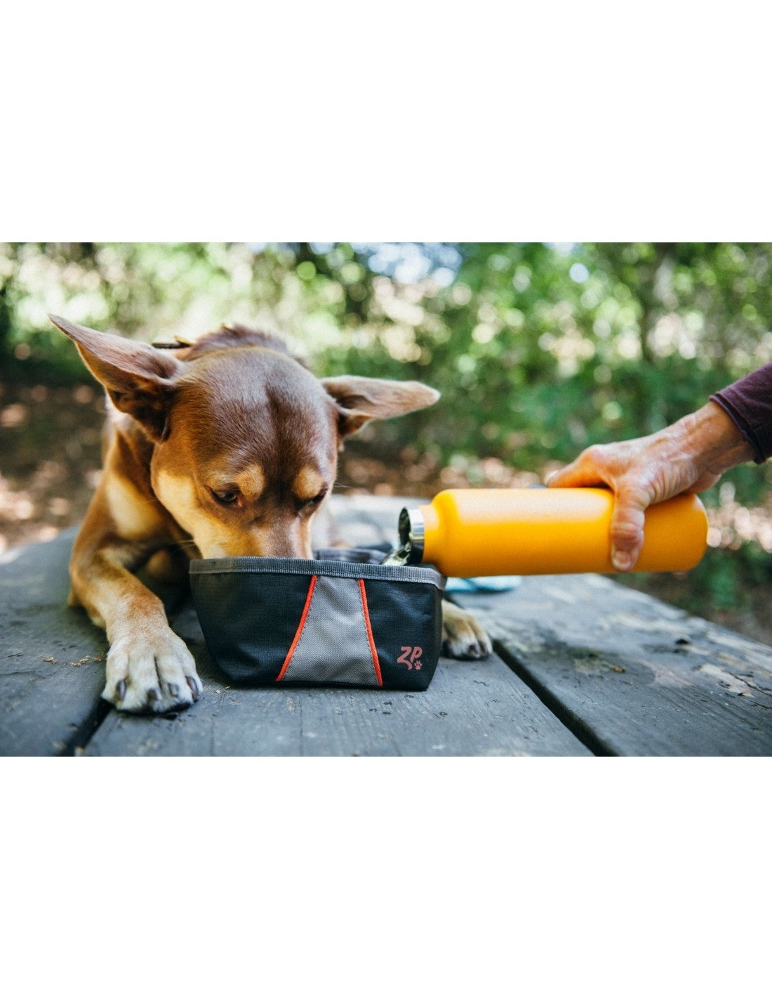 ZippyPaws Travel Bowl Volcano Black - draagbare voer/drinkbak voor onderweg