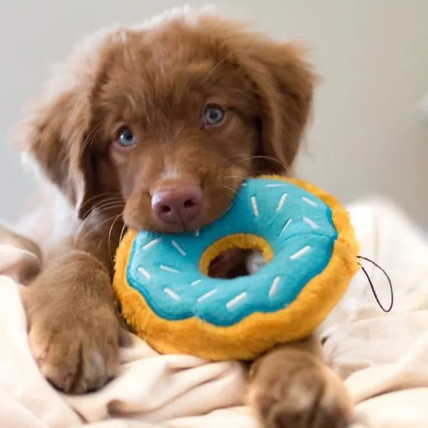 ZippyPaws Donutz Blueberry (regular of large) - Shop with Marley's