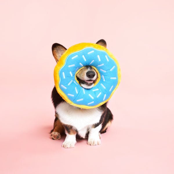 ZippyPaws Donutz Blueberry (regular of large) - Shop with Marley's
