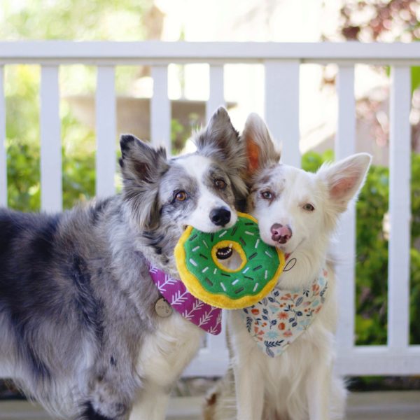 ZippyPaws Donutz Mint Chip (regular) - Shop with Marley's