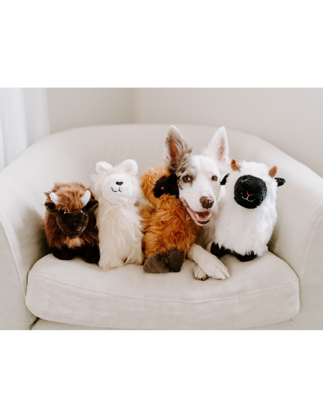 ZippyPaws Wooliez Lettie the Lamb - Shop with Marley's