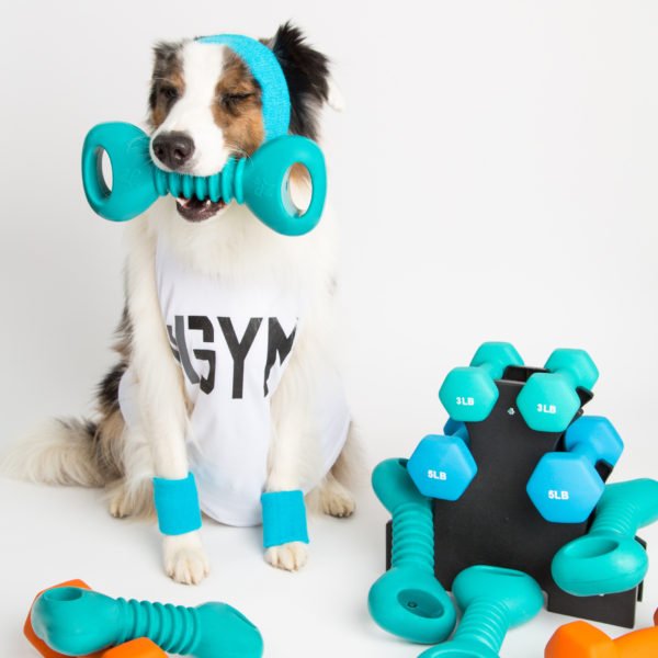 ZippyPaws ZippyTuff Squeakers Dumbbell - Shop with Marley's